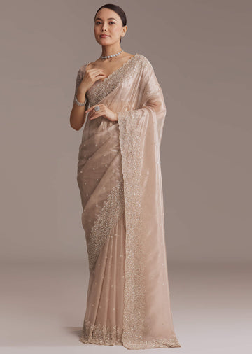 Beige Tissue Embroidered Saree With Cutwork Border
