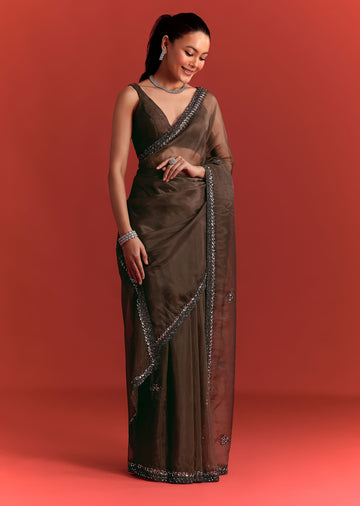 Brown Tissue Saree With Cutdana And Sequin Work