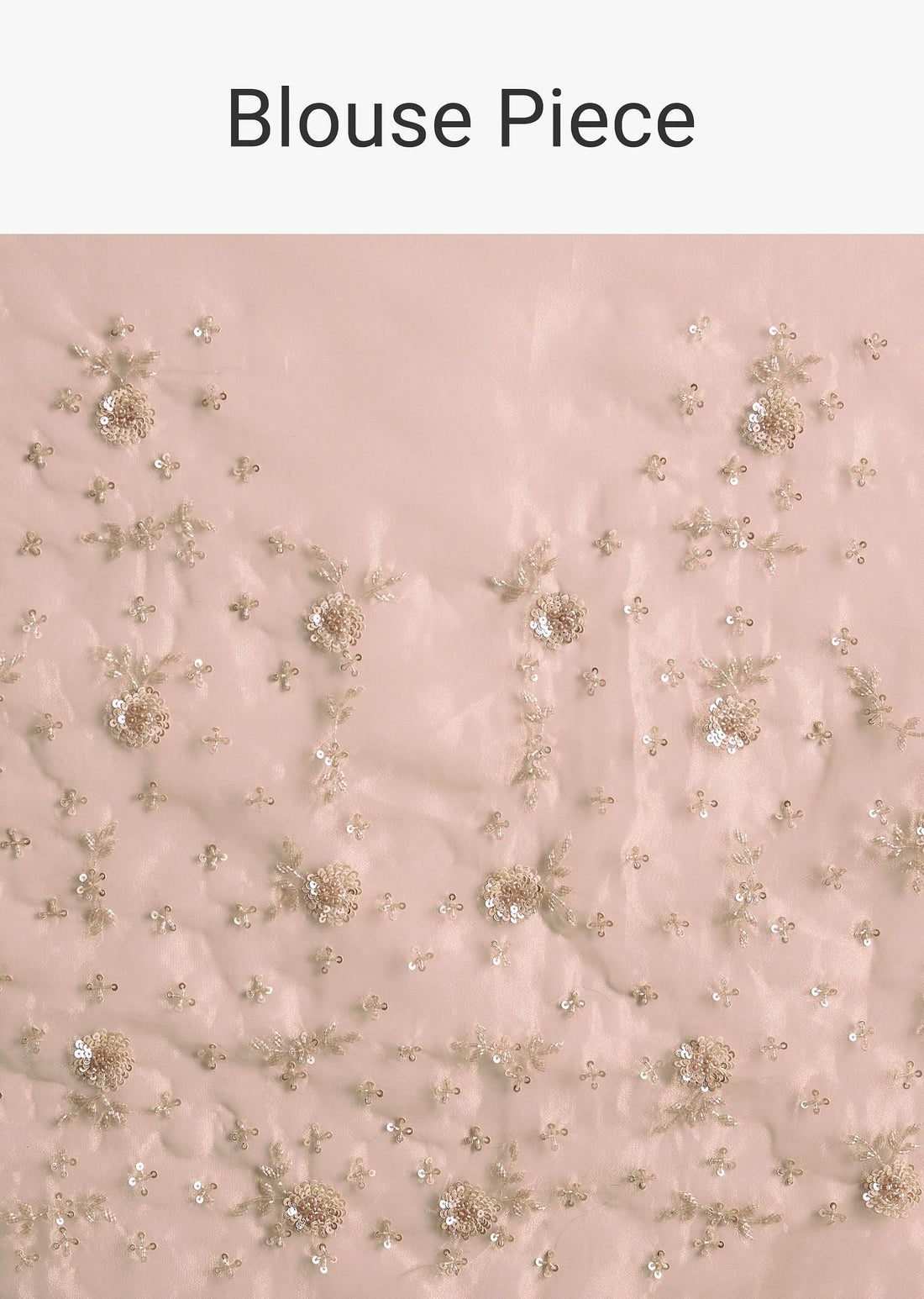 Beige Organza Sequin Embroidered Saree With Scallop Border