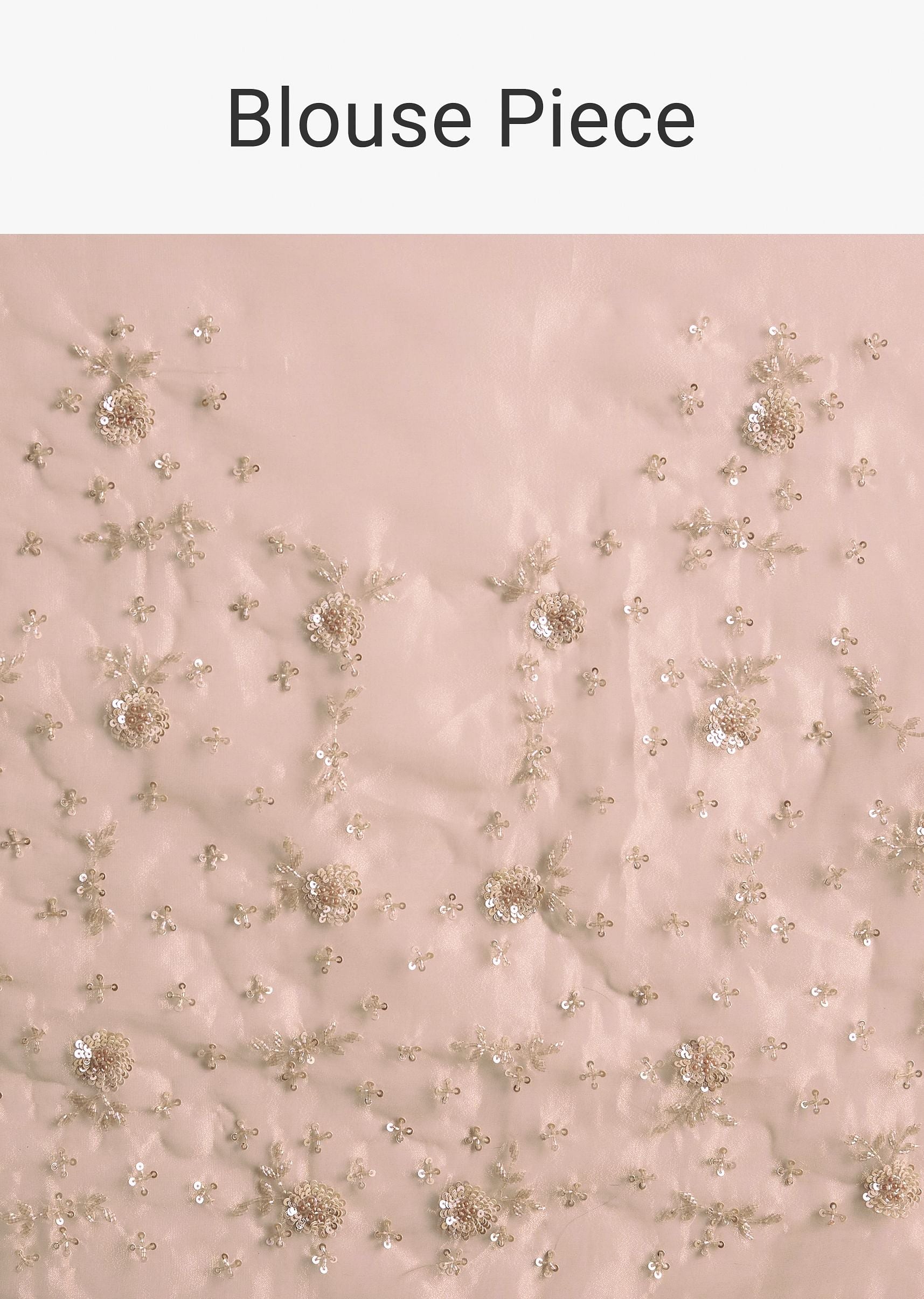 Beige Organza Sequin Embroidered Saree With Scallop Border
