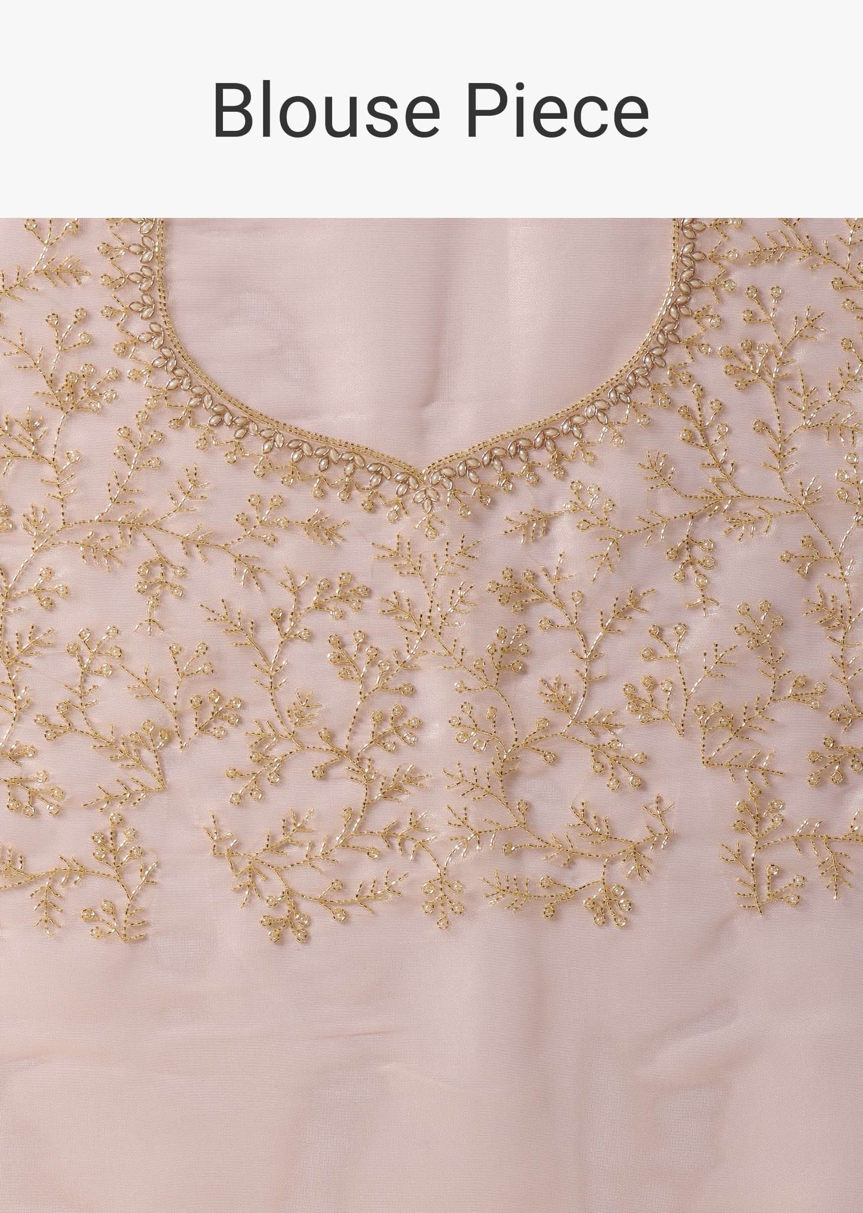Beige Toned Foil Saree In Tissue With Cut Dana Embroidered Borders