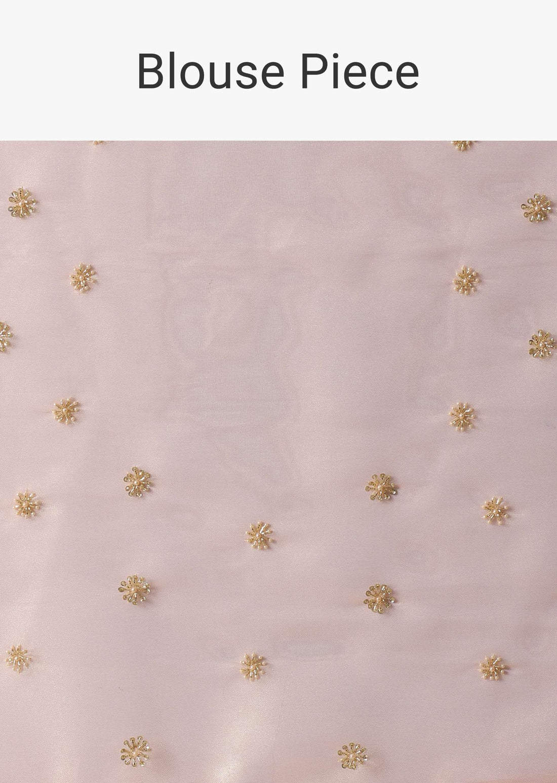 Peach Tissue Saree With Cut Dana Embroidered Borders